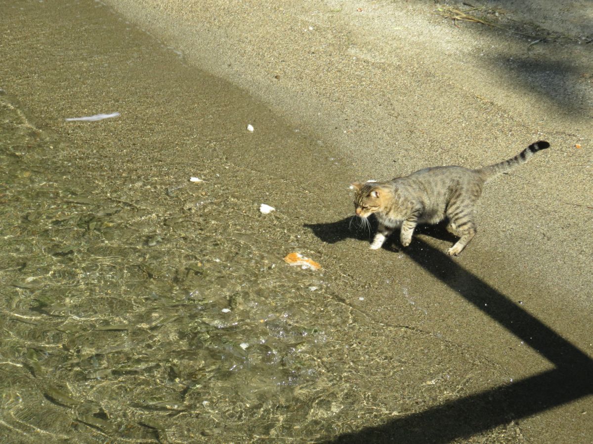 imagini hotel MARMARIS IMPERIAL